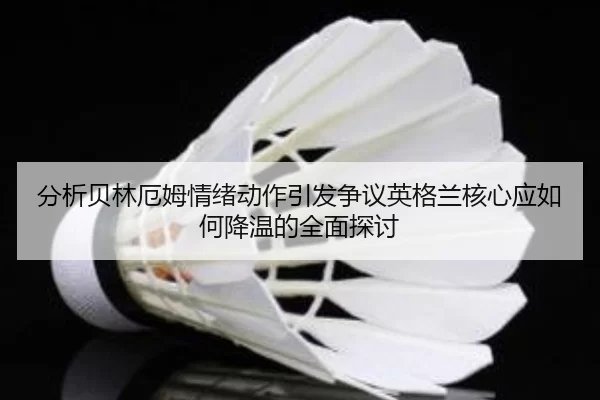 分析贝林厄姆情绪动作引发争议英格兰核心应如何降温的全面探讨